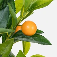 Large Orange Tree