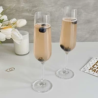 Splendido Set of 4 Champagne Glasses