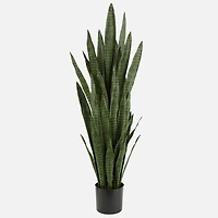 Sanseveria Plant - 55''