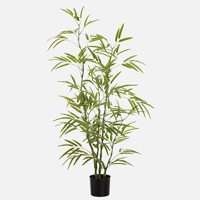 Arbre de Bambou 5'