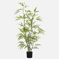 Arbre de Bambou 5'