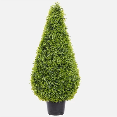 Boxwood Topiary in Pot, 39''