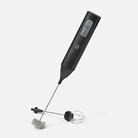 Ricardo USB Rechargeable Milk Frother