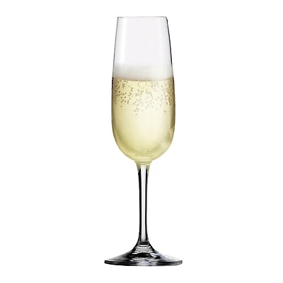 Set of 6 SensisPlus Vino Nobile Champagne Flutes