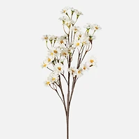 Cabdym Daisy Floral Bundle - 19"