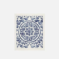 Medallion Sponge Cloth