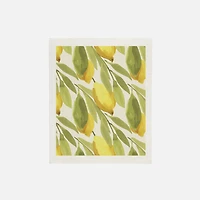 Citron Chiffon éponge