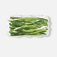 Starfrit LocknLock Bacon Container