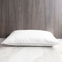 Stemless Feather Pillow