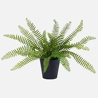 Sword Fern Faux Plant in Pot
