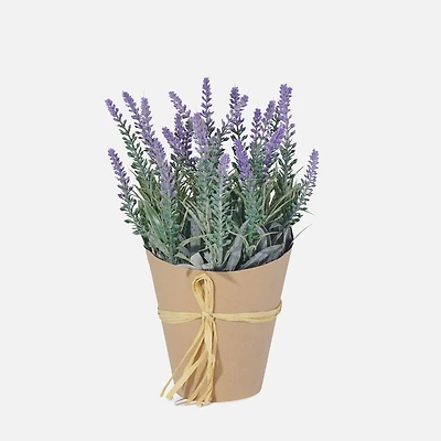 Torre & Tagus Lavender Plant in Paper Tied Pot