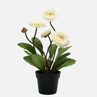 Gerbera Faux Potted Plant - Cream