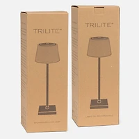 Fluted Frost Shade LED Table Lamp - White