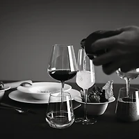 Ensemble de 6 verres à vin « Inalto Uno » par Bormioli Rocco - 15,9 oz