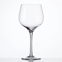 Set of 2 SensisPlus Grand Burgundy Glass by Eisch