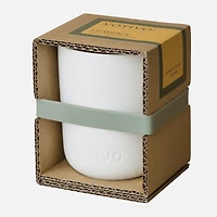 Candle in Ceramic Vessel 2 Wick