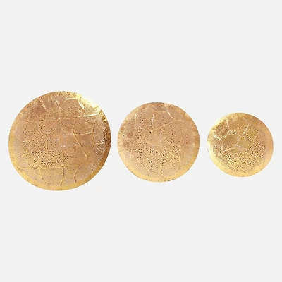 Petal Shield Wall Decor