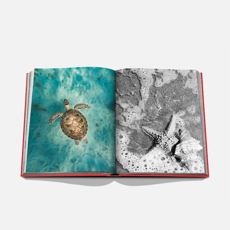 Assouline St. Barths Freedom English Book