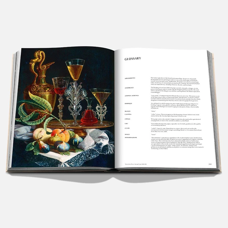 Wine and Travel Italy Book, English