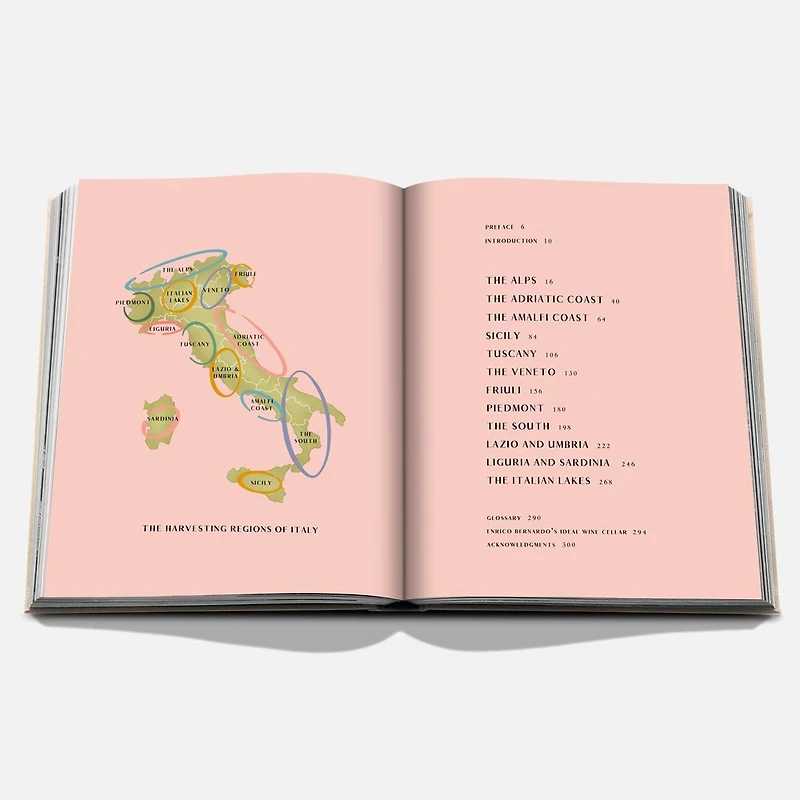 Wine and Travel Italy Book, English