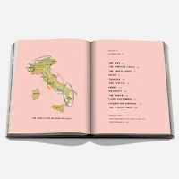 Wine and Travel Italy Book, English