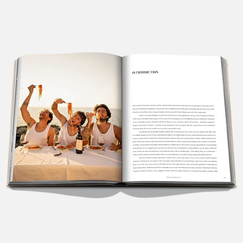 Wine and Travel Italy Book, English