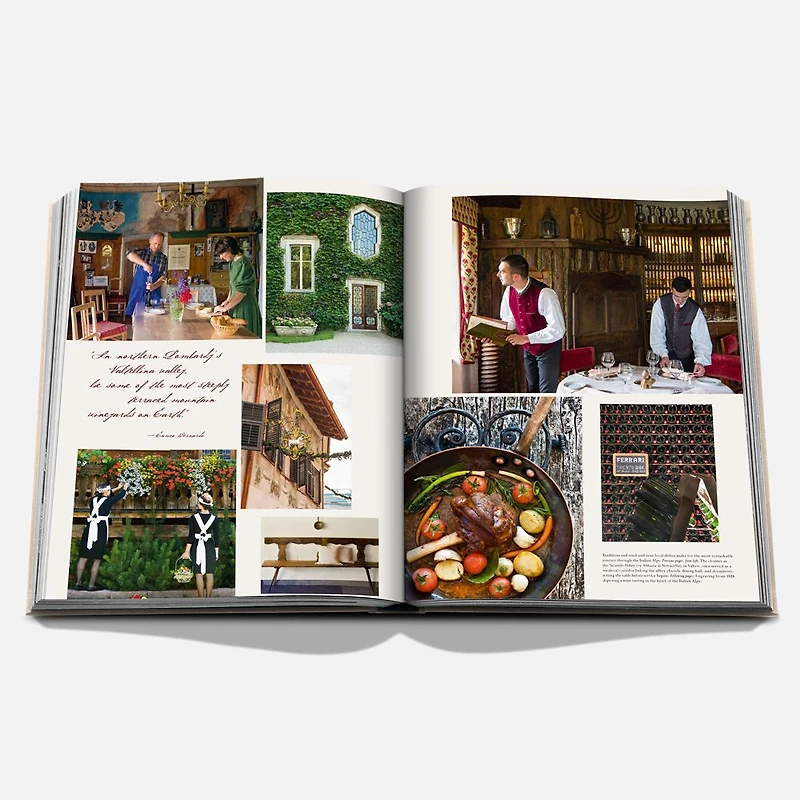 Wine and Travel Italy Book, English