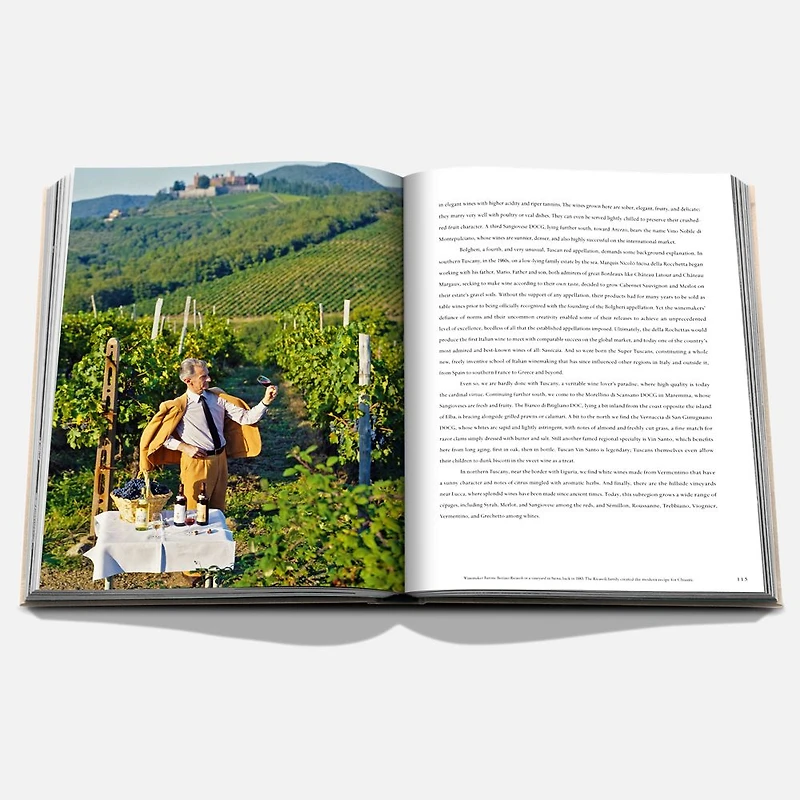 Wine and Travel Italy Book, English
