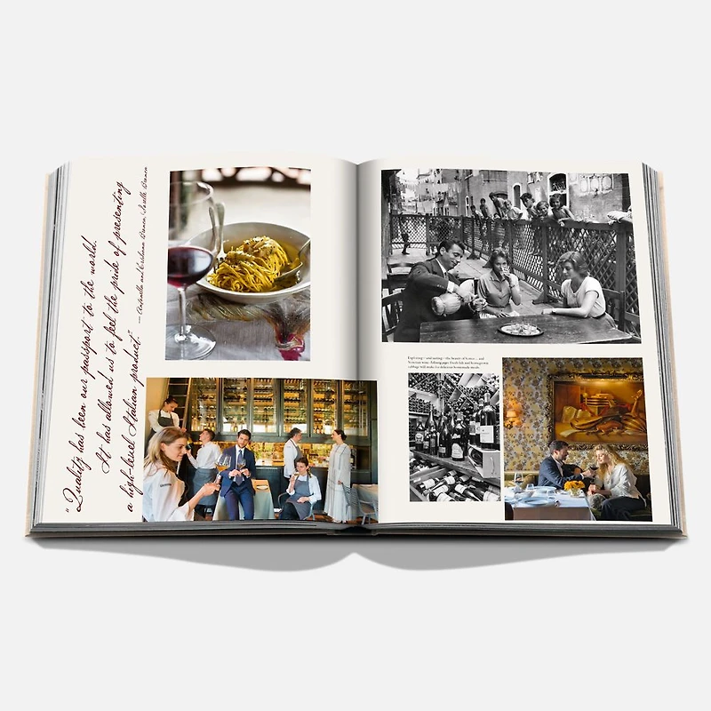 Wine and Travel Italy Book, English