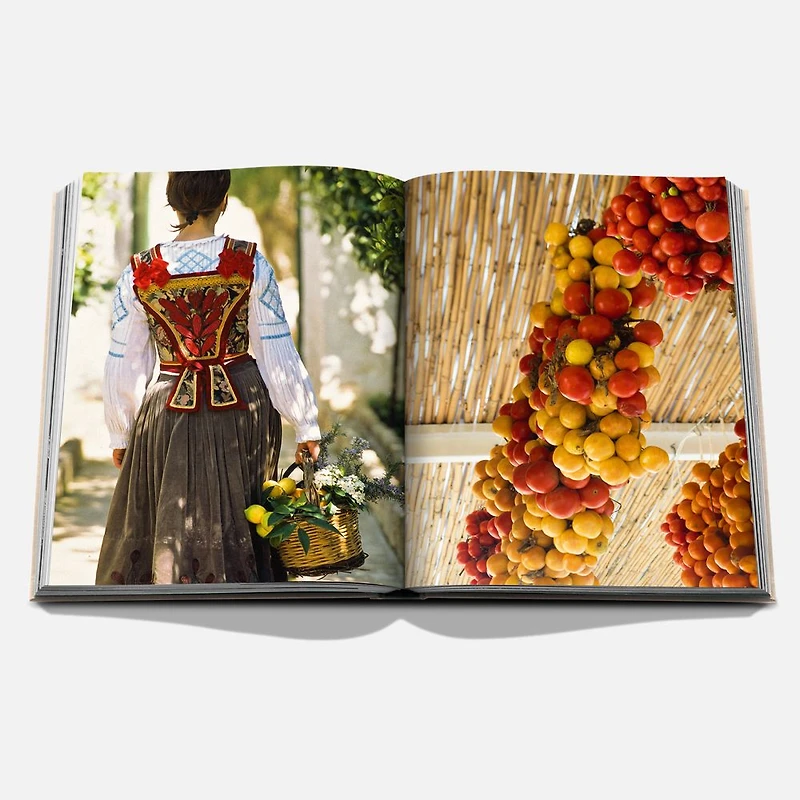 Wine and Travel Italy Book, English