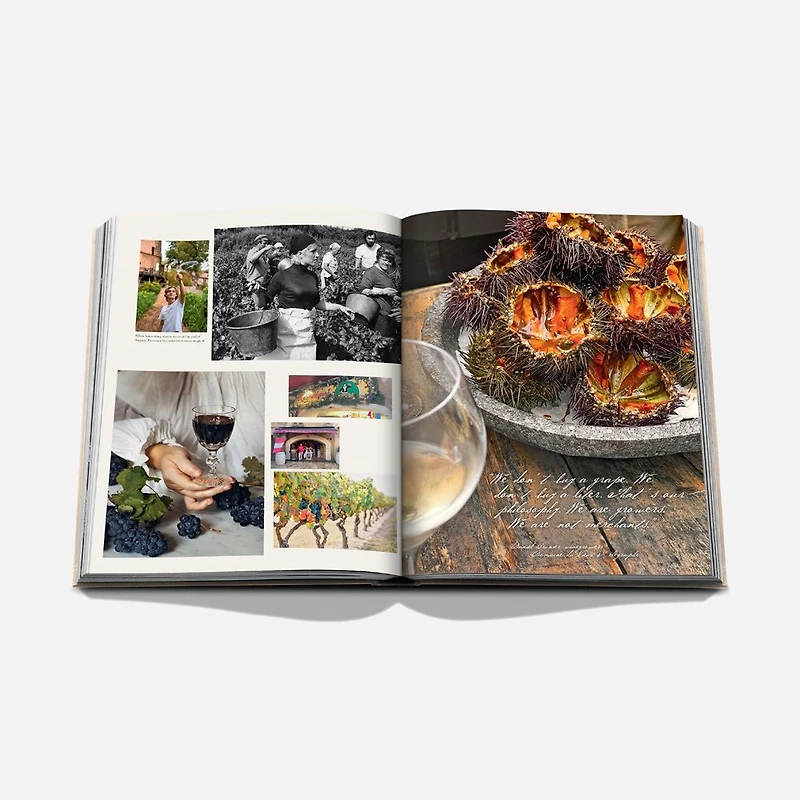 Wine and Travel France Book, English