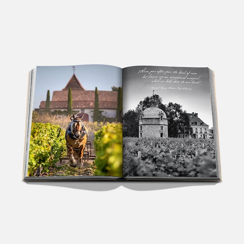 Wine and Travel France Book, English