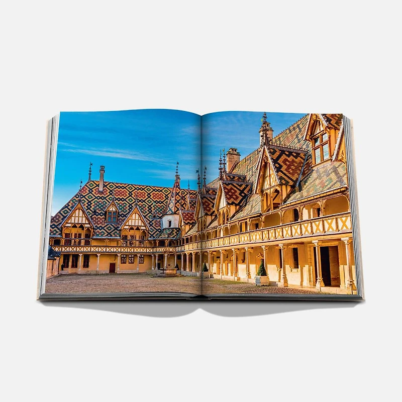 Wine and Travel France Book, English