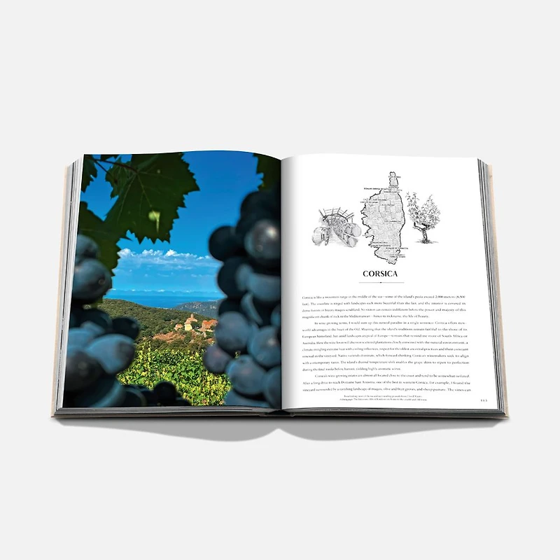Wine and Travel France Book, English