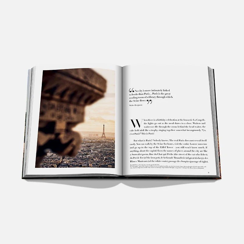 Paris Chic Book, English