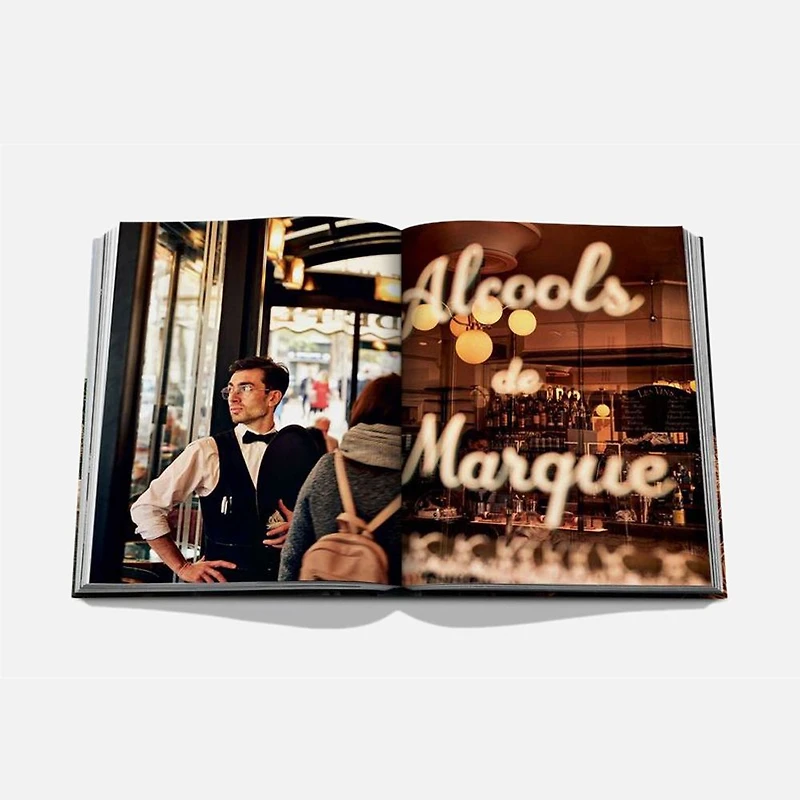 Paris Chic Book, English