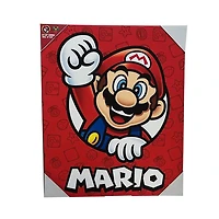 Mario Canvas Art