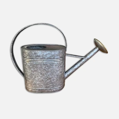 Vintage Watering Sprout, 4 L - Silver