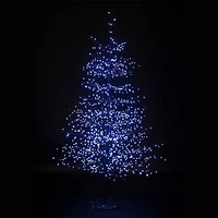 Cool Light Tree - Black