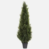 Arbre Cèdre protection UV - 60"