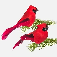 Small Cardinal Bird Clip - Assorted