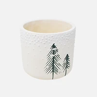 Fir Trees Plant Pot