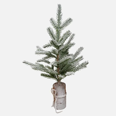 Sapin enneigé sur bûche