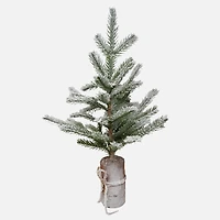 Sapin enneigé sur bûche