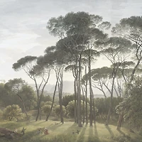 Papier peint mural « Classic Umbrella Pines Painting »