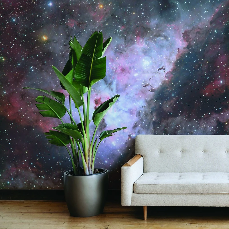 deep space nebula 2 Wallpaper Mural