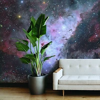 deep space nebula 2 Wallpaper Mural