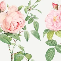 Papier peint mural « Fragrant Rosebush »