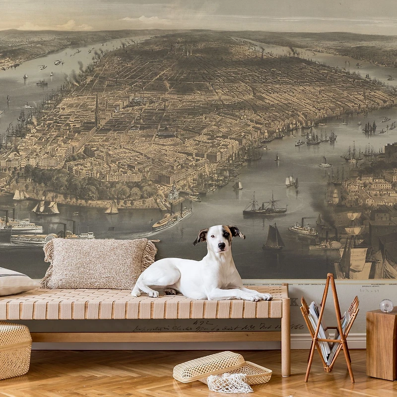 Papier peint mural « New York 1856 »