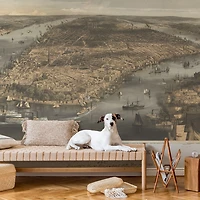 Papier peint mural « New York 1856 »